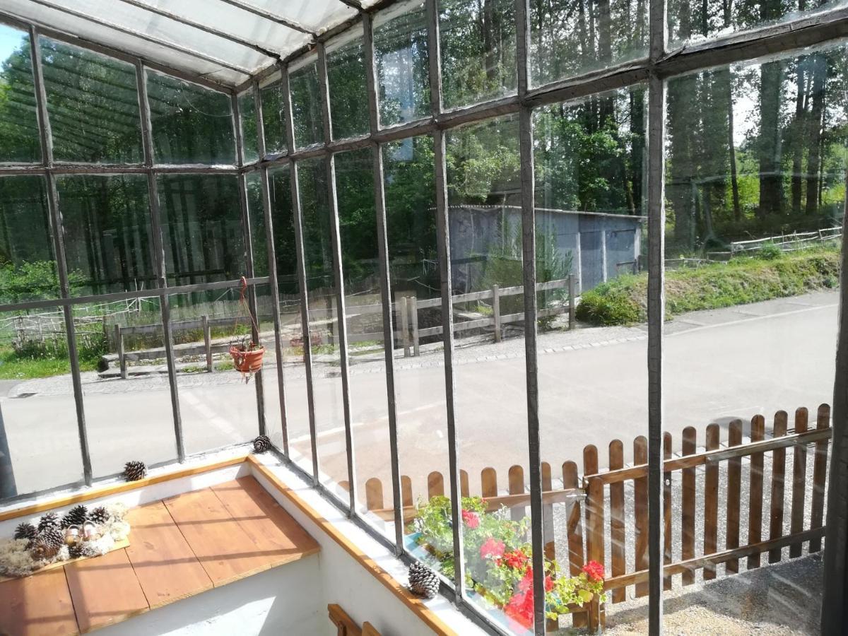 Petit Gite Cocoon Ty Bihan Ar Feunteun Scrignac エクステリア 写真