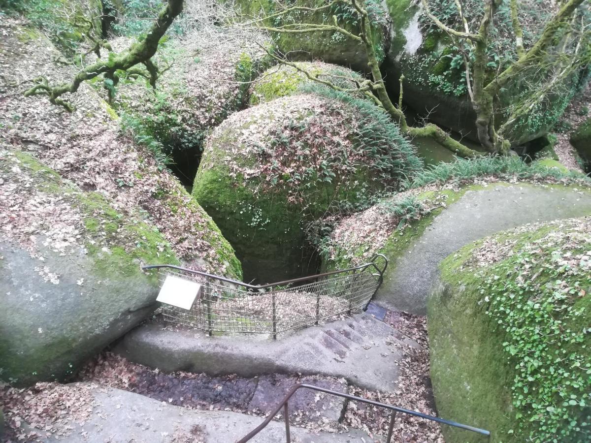 Petit Gite Cocoon Ty Bihan Ar Feunteun Scrignac エクステリア 写真